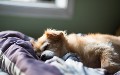 related article thumbnail