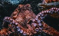 related article thumbnail