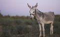 related article thumbnail