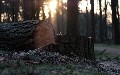 related article thumbnail