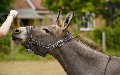 related article thumbnail