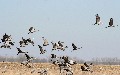 related article thumbnail
