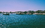 article thumbnail