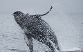related article thumbnail