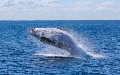 related article thumbnail