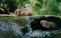 related article thumbnail