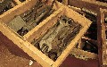 related article thumbnail