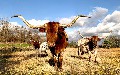 related article thumbnail