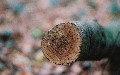 related article thumbnail