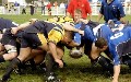 related article thumbnail