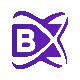 Blockchian X user avatar