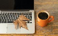 related article thumbnail