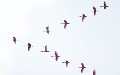 related article thumbnail