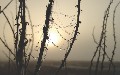 related article thumbnail
