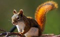related article thumbnail