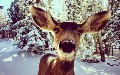 related article thumbnail