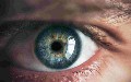 related article thumbnail