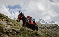 related article thumbnail