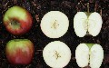 related article thumbnail