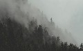 related article thumbnail