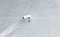 related article thumbnail