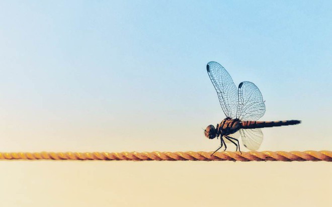 Using Laravel With Dragonfly