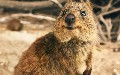 related article thumbnail