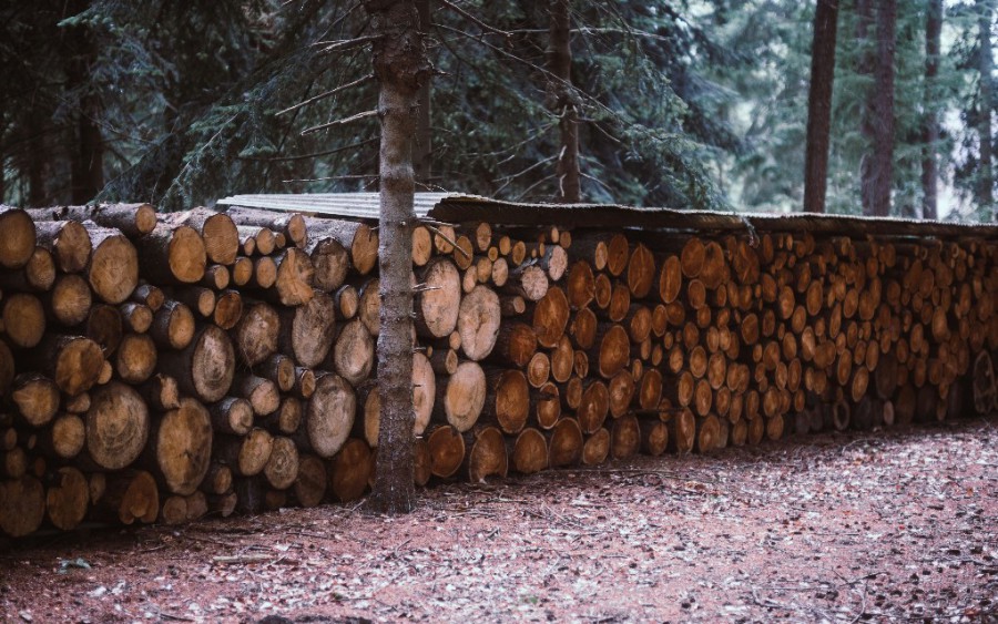 How You Can Use Logs To Feed Security