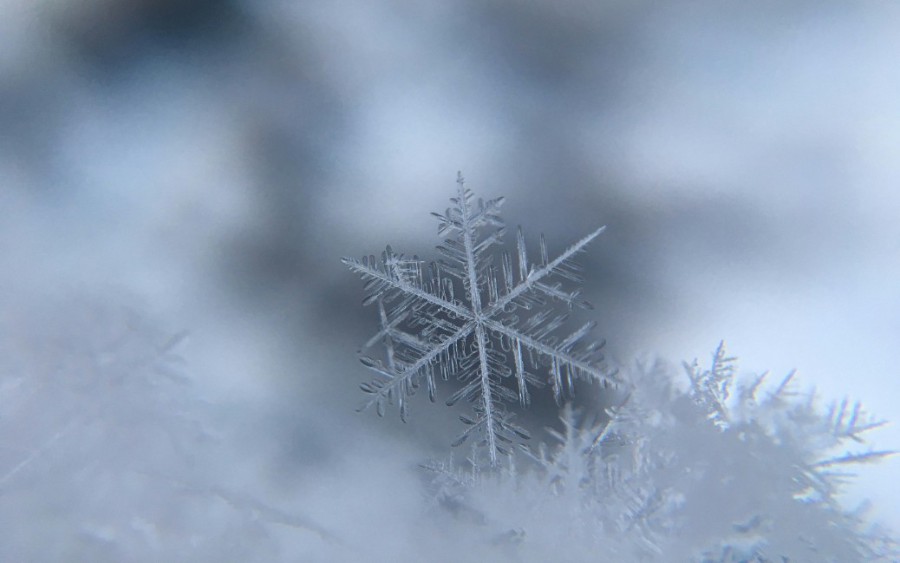 Snowflake Data Sharing Capabilities