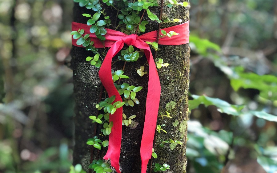 *You* Can Shape Trend Reports: Join DZone's Developer Experience Research + Enter the Prize Drawing!