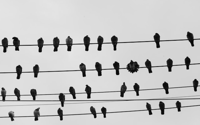 Building Resilient Networks: Limiting the Risk and Scope of Cyber Attacks