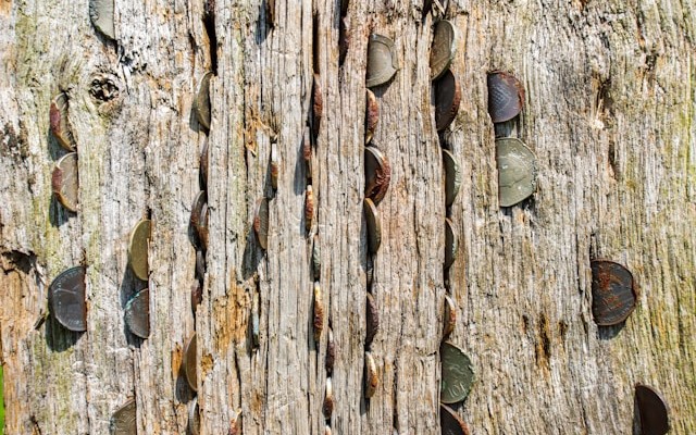 Observability Expenses: When ‘Pennies on the Dollar’ Add Up Quickly