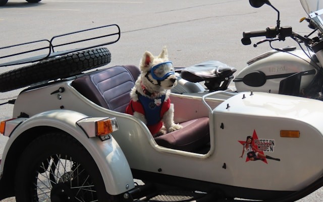 How to Improve Copilot's Accuracy and Performance in Power BI