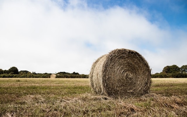 Finding Needles in Digital Haystacks: The Distributed Tracing Revolution