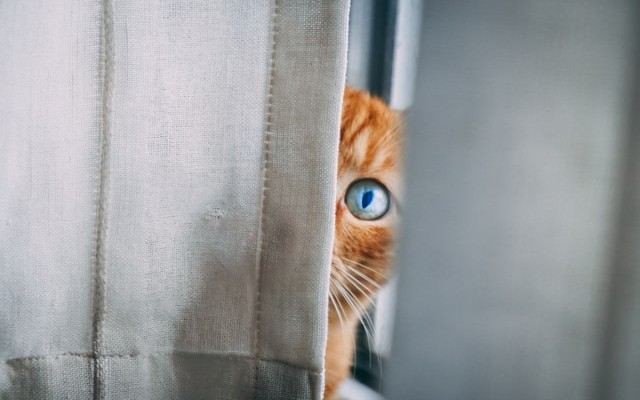 From Code to Customer: Building Fault-Tolerant Microservices With Observability in Mind