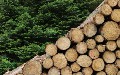 related article thumbnail