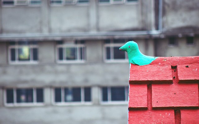 Building Scalable and Resilient UI/UX With Angular and Node.js