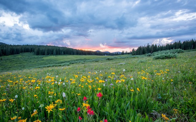 How to Marry MDC With Spring Integration