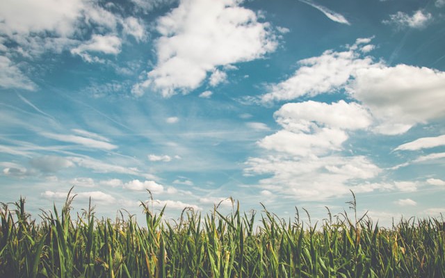 Real-Object Detection at the Edge: AWS IoT Greengrass and YOLOv5