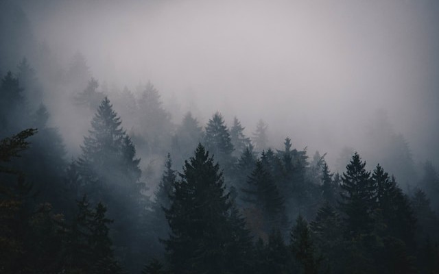 Deploying LLMs Across Hybrid Cloud-Fog Topologies Using Progressive Model Pruning