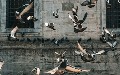 related article thumbnail