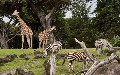 related article thumbnail