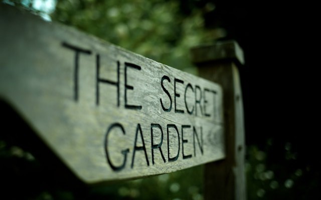 Decoding the Secret Language of LLM Tokenizers