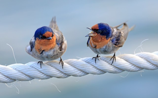 When MySQL, PostgreSQL, and Oracle Argue: Doris JDBC Catalog Acts as the Peacemaker