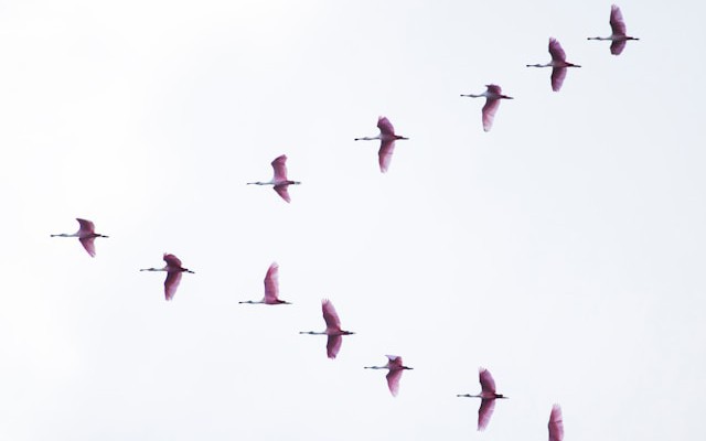 Migrating Traditional Workloads From Classic Compute to Serverless Compute on Databricks