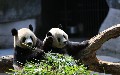 related article thumbnail