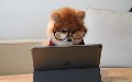 related article thumbnail
