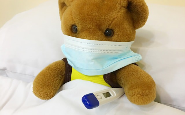 The Immune System of Software: Can Biology Illuminate Testing?