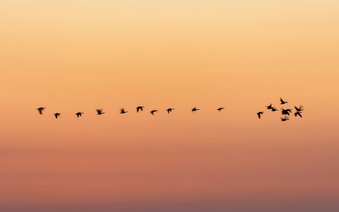 VB6 vs. C#: How to Migrate and Modernize Your Legacy Code