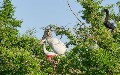 related article thumbnail